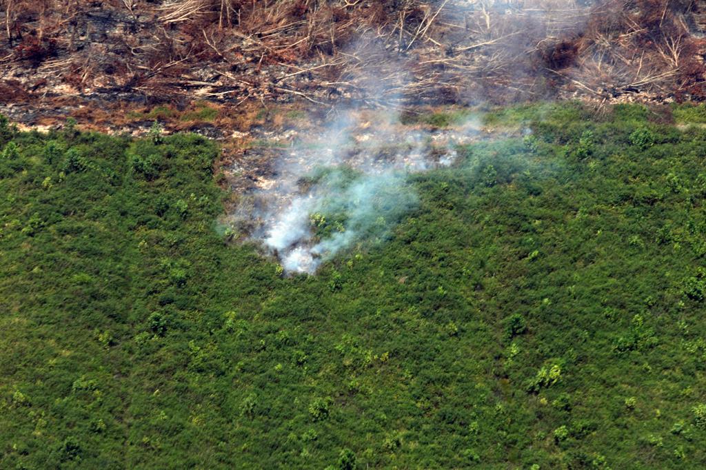 Tinjauan udara penanganan kebakaran hutan dan lahan di Kalimantan Selatan.